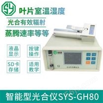 赛亚斯智能型光合仪厂家SYS-GH80