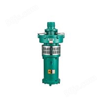 QY充油式潜水电泵系列