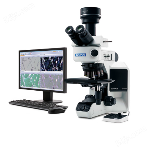 奥林巴斯金相显微镜BX53M