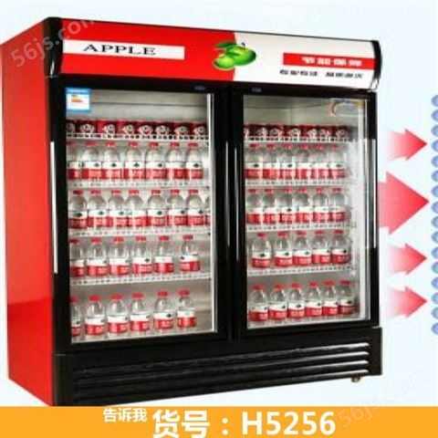 冰箱的冷藏柜 饭店冷藏柜 车载冷藏柜货号H5256