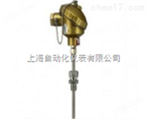 WRNK-582上海自动化仪表三厂铠装热电偶