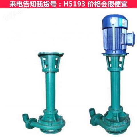 污泥柱塞泵 污泥提升泵 工业污泥泵货号H5193