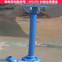 污泥柱塞泵 污泥提升泵 工业污泥泵货号H5193