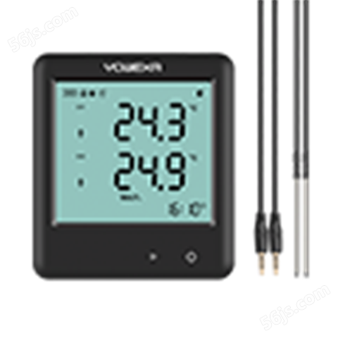 YDP-700E 超低温双通道PDF温度记录仪 外置探头版