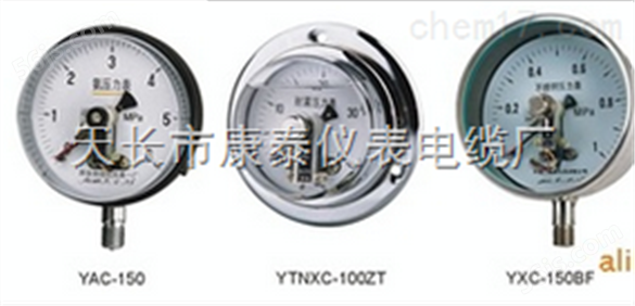 YP-150L膜片压力表/厂家