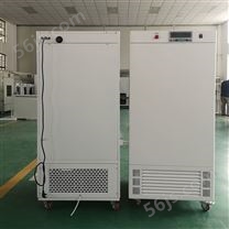 MJX-300霉菌培养箱（液晶屏幕控制器）