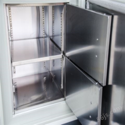 零下40度低温冰箱/*型低温实验室保存箱