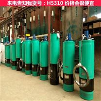 污水池攪拌潛水泵 污水潛水泵帶切割 潛水泵和清水泵污水泵貨號H5310