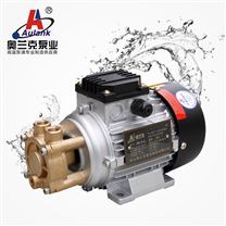 奥兰克WD-021S-160热水泵 热油泵 高温齿轮热油泵 实验仪器高温泵 沐川泵